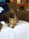 Keiko