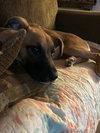 Keiko