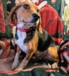 Ellie Mae
