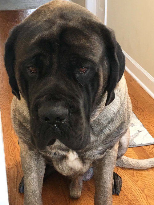 Sampson
