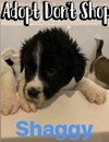 Oliver