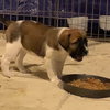 Chloe
