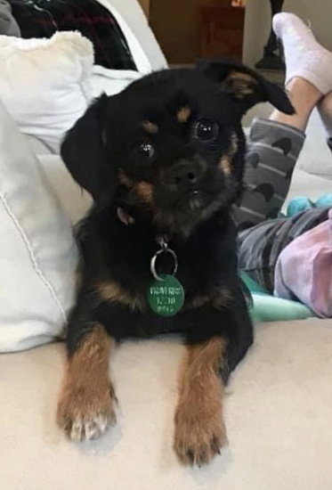 Charlie