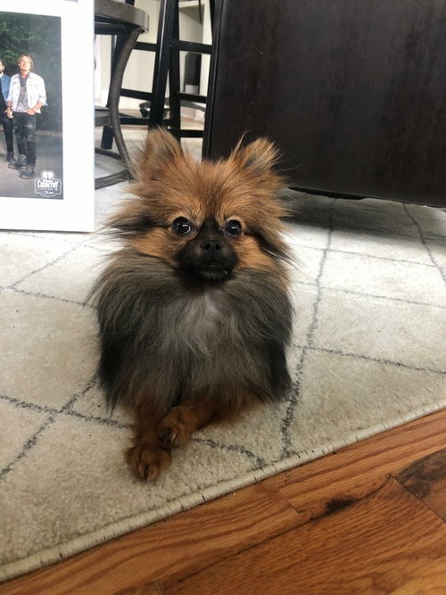 Milly