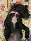 Trudy