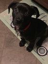Trudy