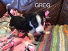 Greg