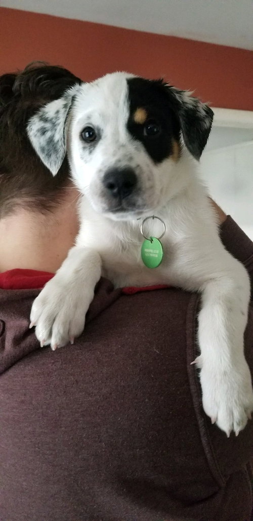 Hudson