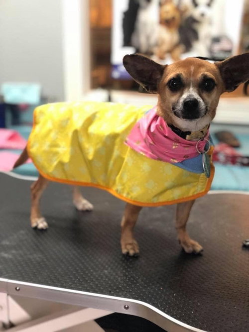 Bella