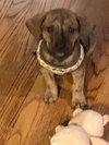Baxter