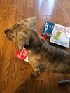 Baxter