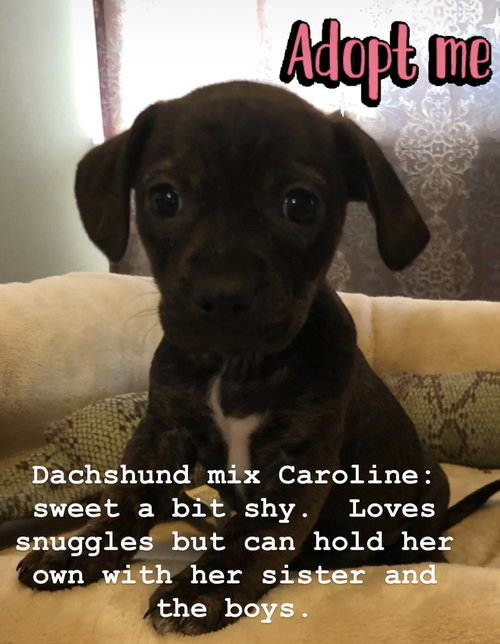 Caroline