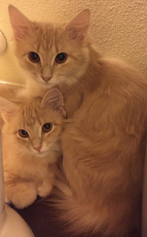 Sally & Sam