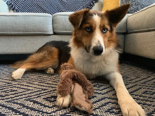 Ellie Girl