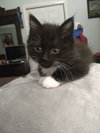 Jelly Belly