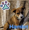 Hamlet