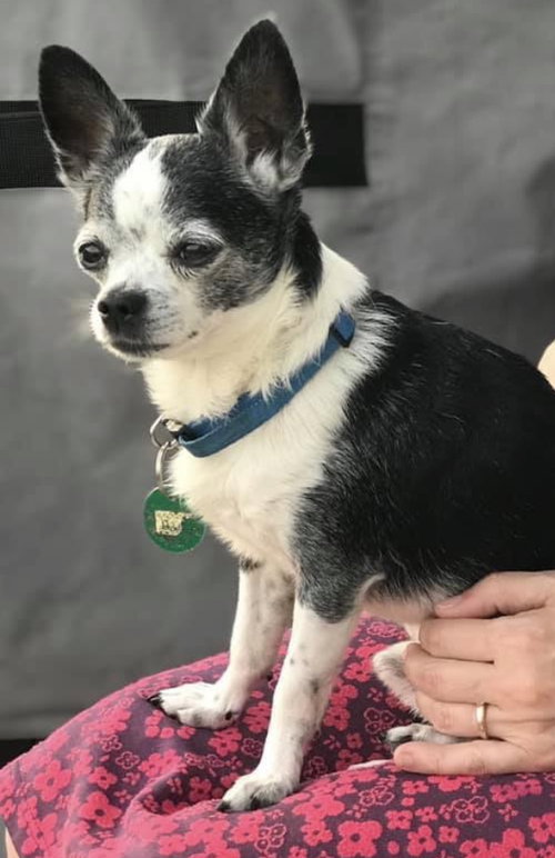 Frankie