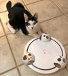 Figaro