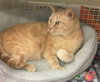Rupert