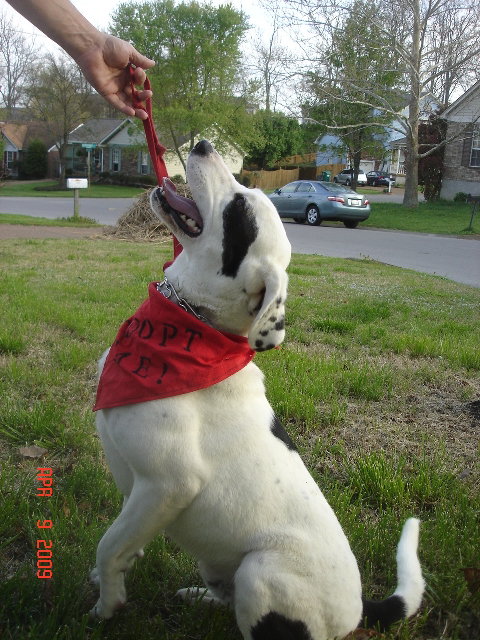 Tucker - DF