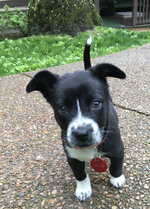 Luna
