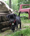 Remington