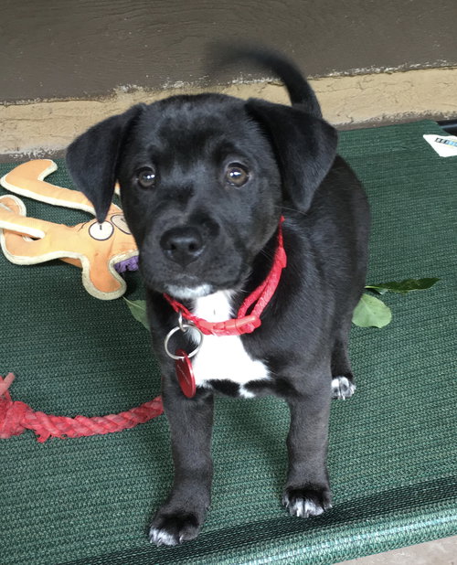 Remington