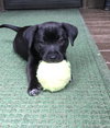 Remington
