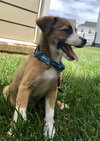 Oliver