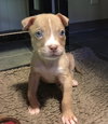 Winnie