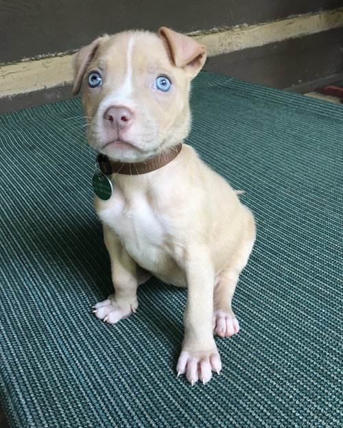 Winnie