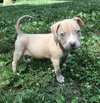 Winnie