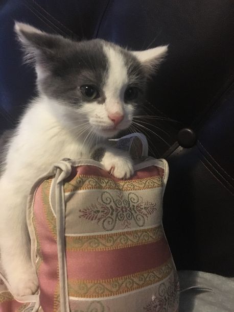 Hermione
