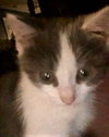 Hermione