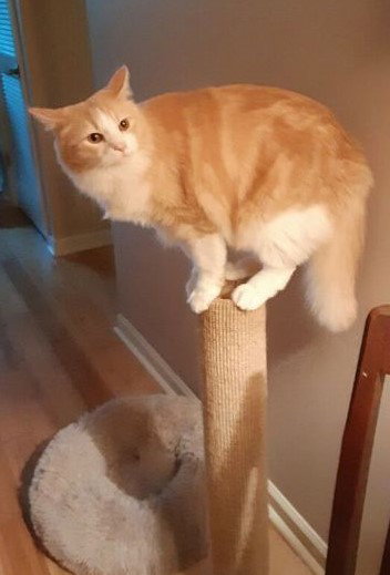 Ben