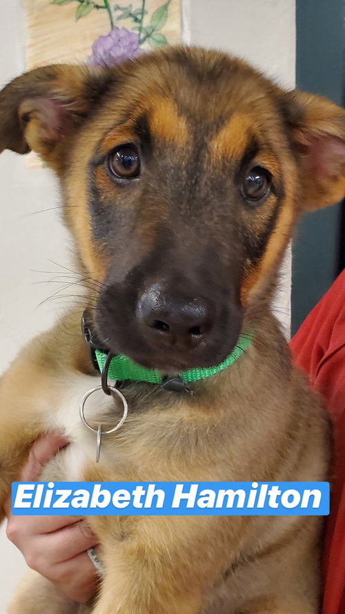 Harper