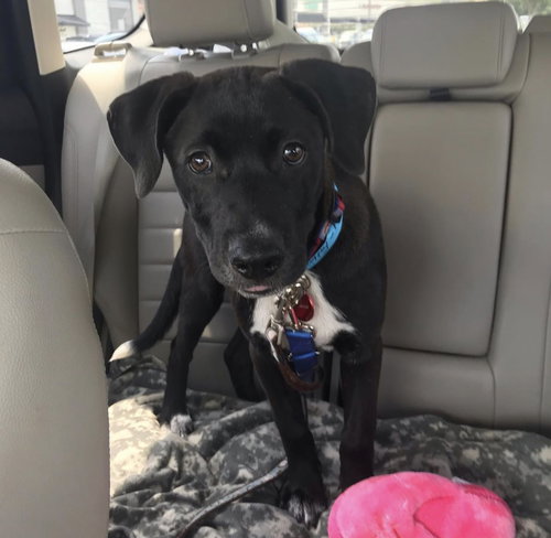 Tyson