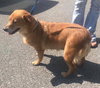Penny Lane