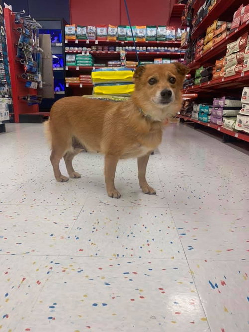 Penny Lane