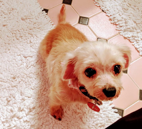 Missy