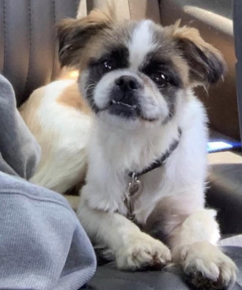 Milo