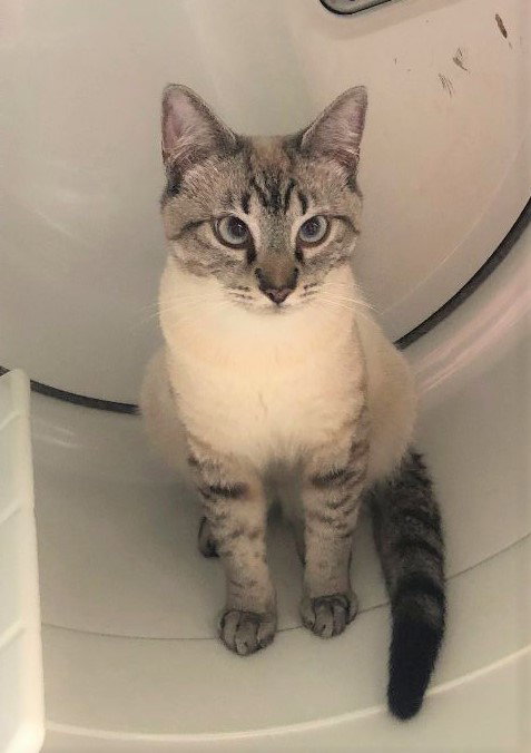 Sam