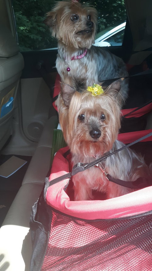 Lola & Dolce