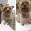 Lola & Dolce