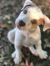 Winnie