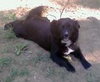Little Girl
