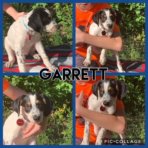 Garrett