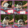 Gina