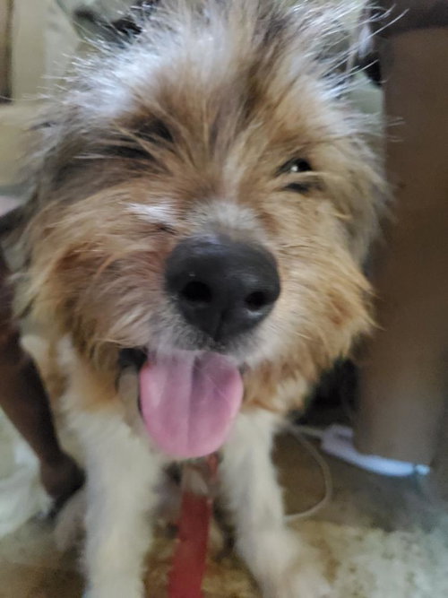 Tilly