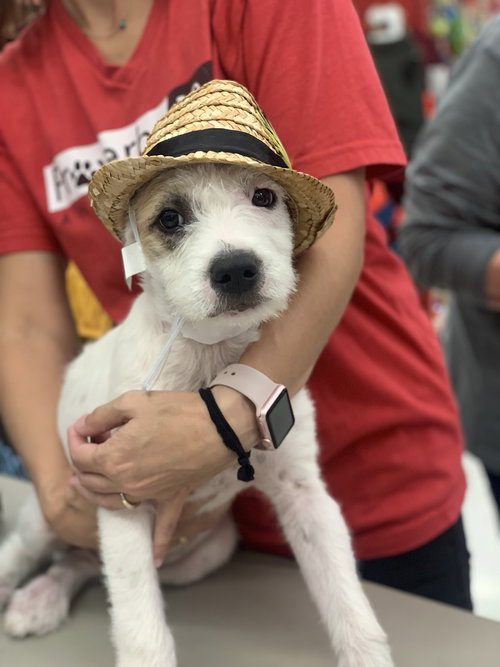 Leroy